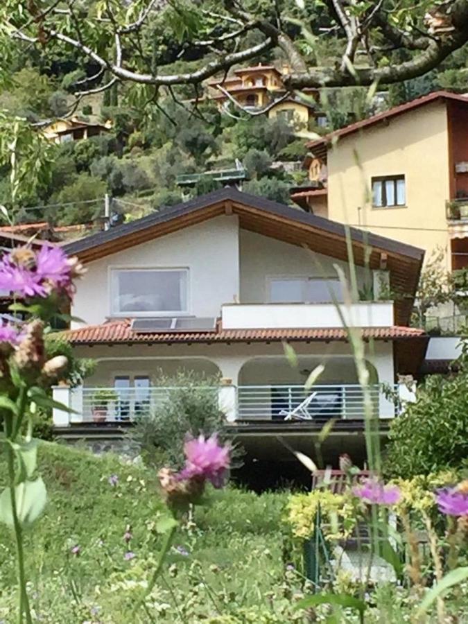 Villa 3 Olivi - Lenno By Lovecomo エクステリア 写真